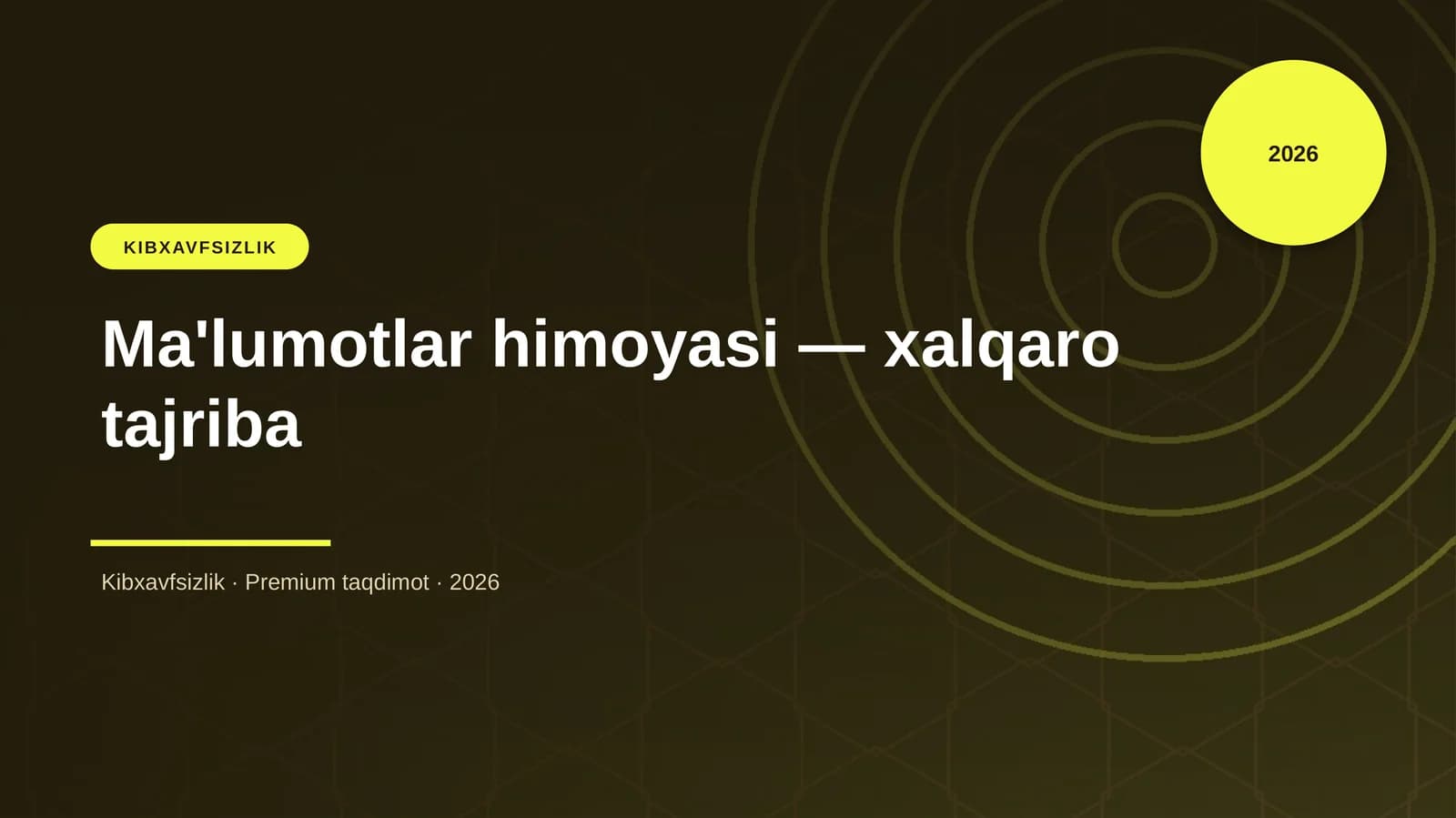 Ma'lumotlar himoyasi — xalqaro tajriba