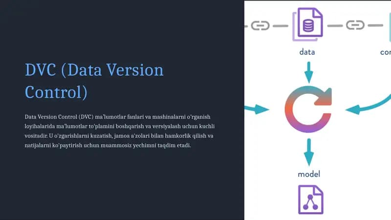 DVC (Data Version Control)