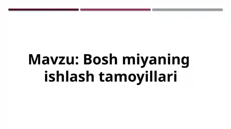 Bosh miyaning  ishlash tamoyillari
