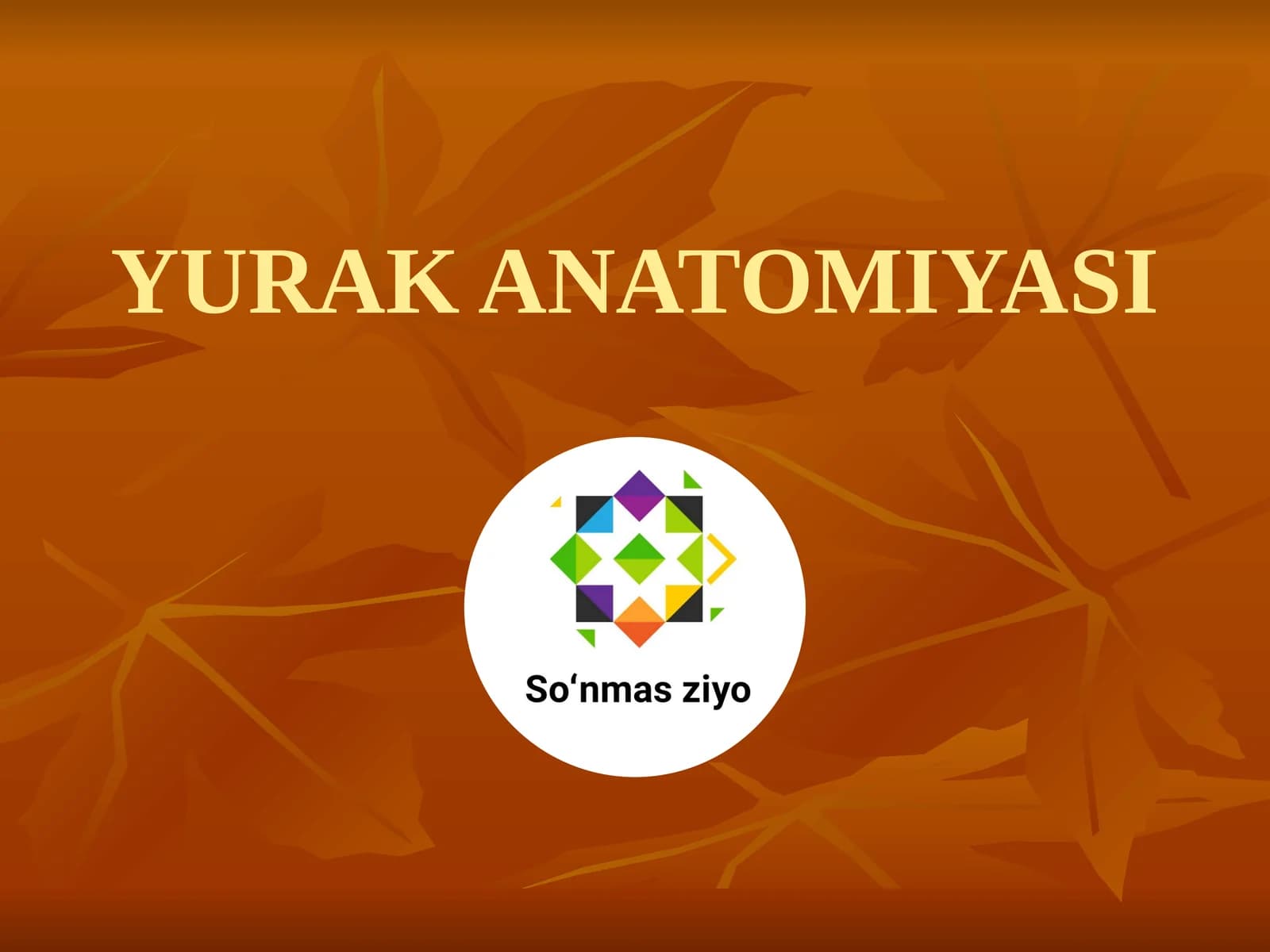 YURAK ANATOMIYASI
