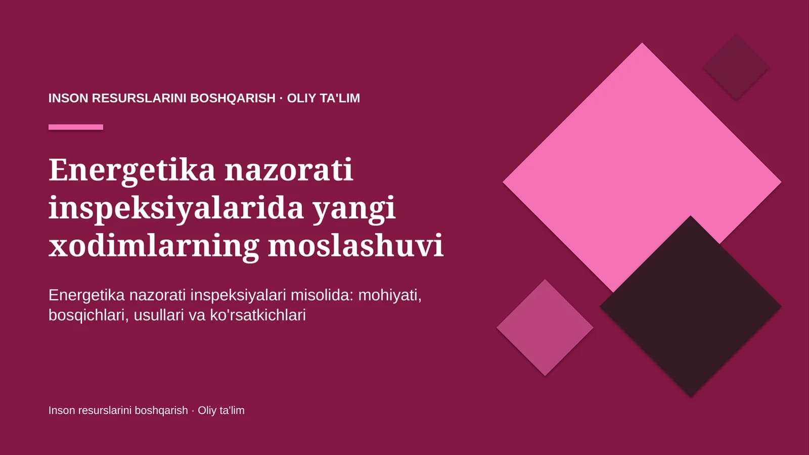 Energetika nazorati inspeksiyalarida yangi xodimlarning moslashuvi