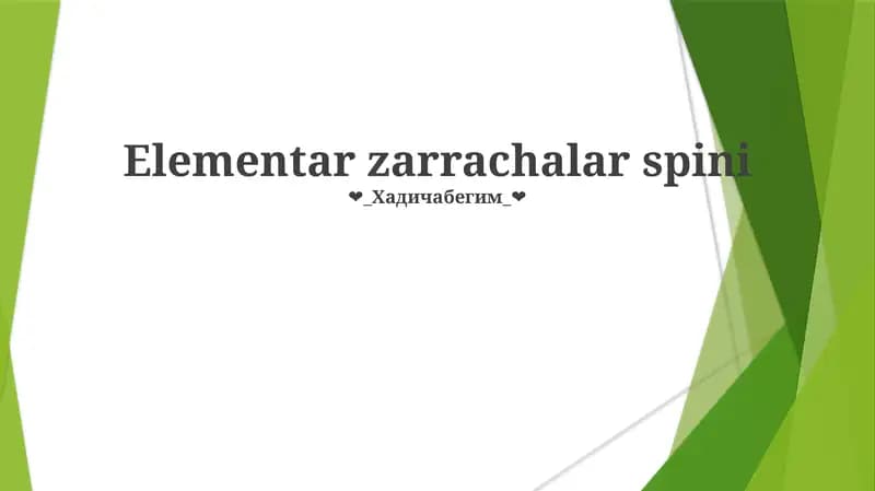 Elementar zarrachalar spini