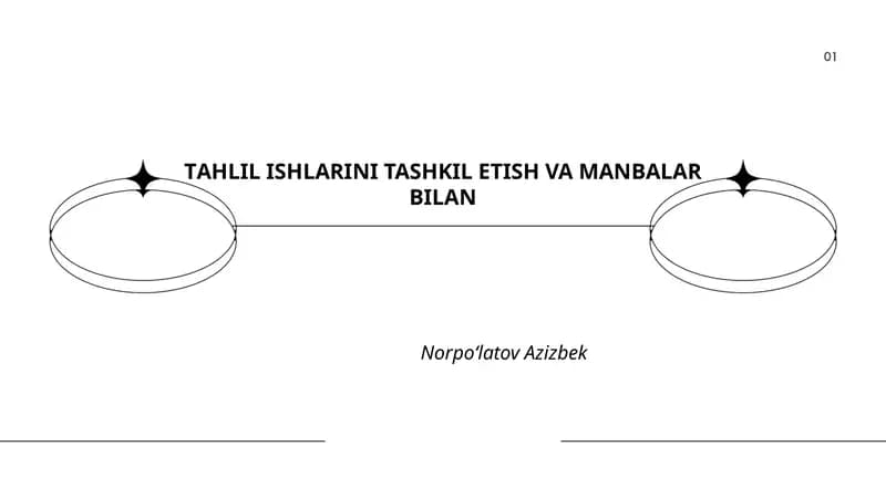 TАHLIL ISHLARINI TASHKIL ETISH VA MANBALAR BILAN