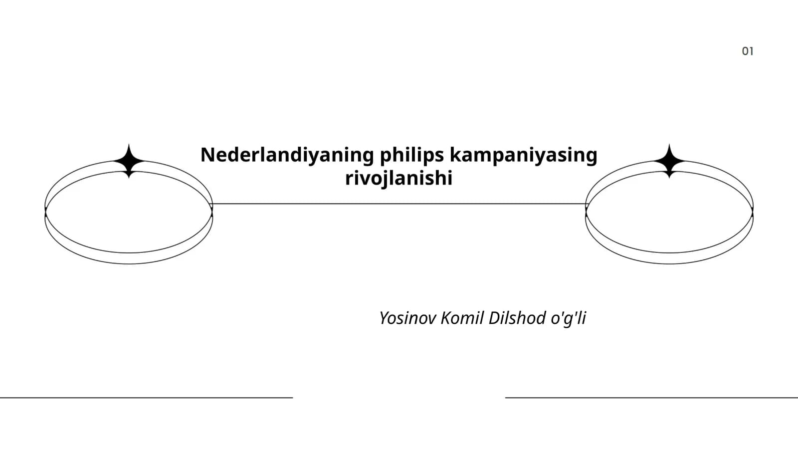 Philips kompaniyasining tashkil etilishi