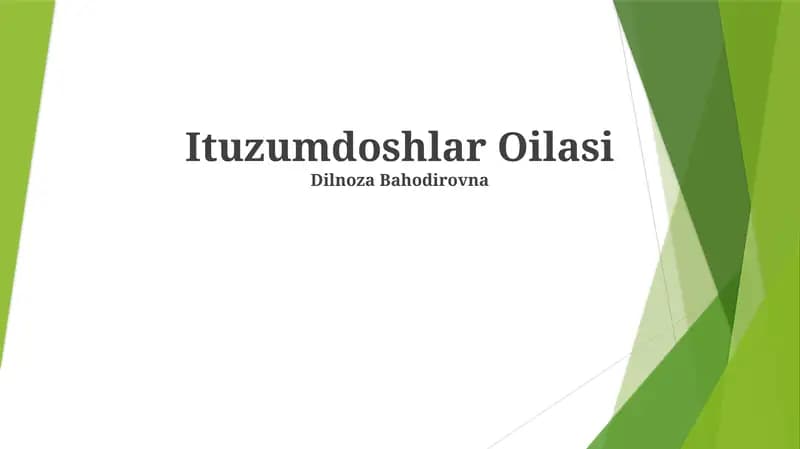 Ituzumdoshlar Oilasi