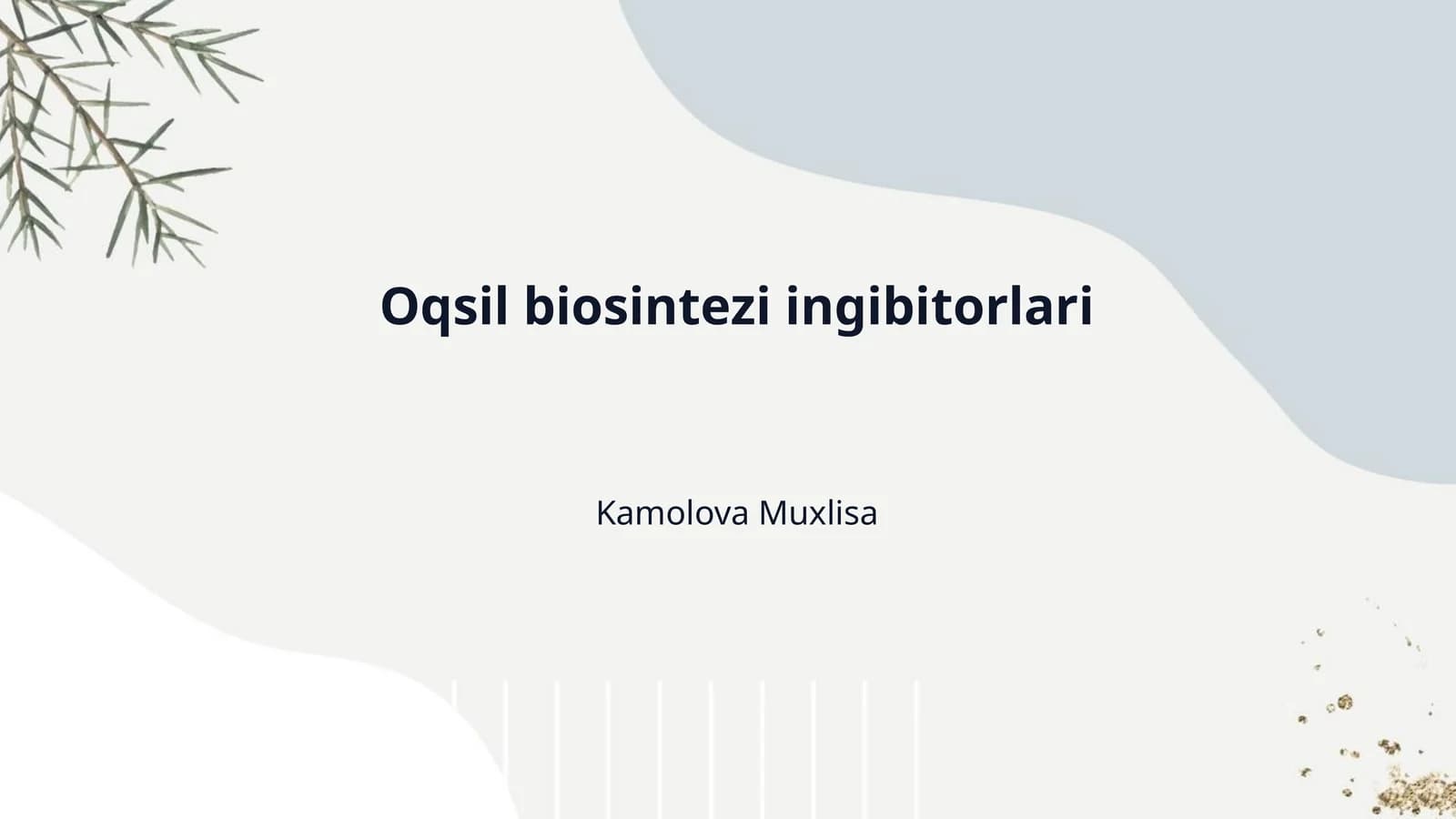 Oqsil biosintezi ingibitorlari