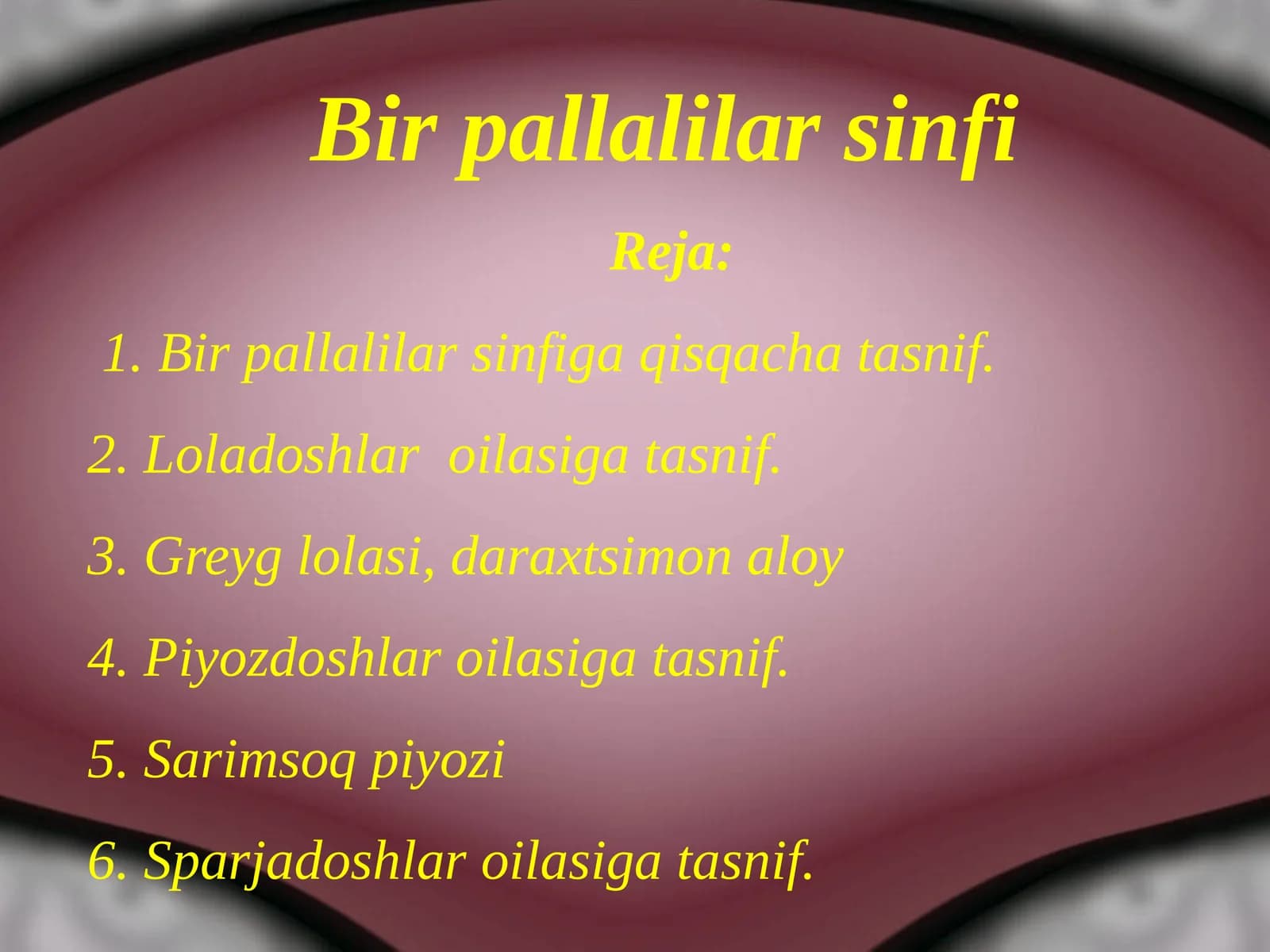 Bir pallalilar sinfi