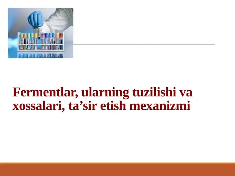 Fermentlar