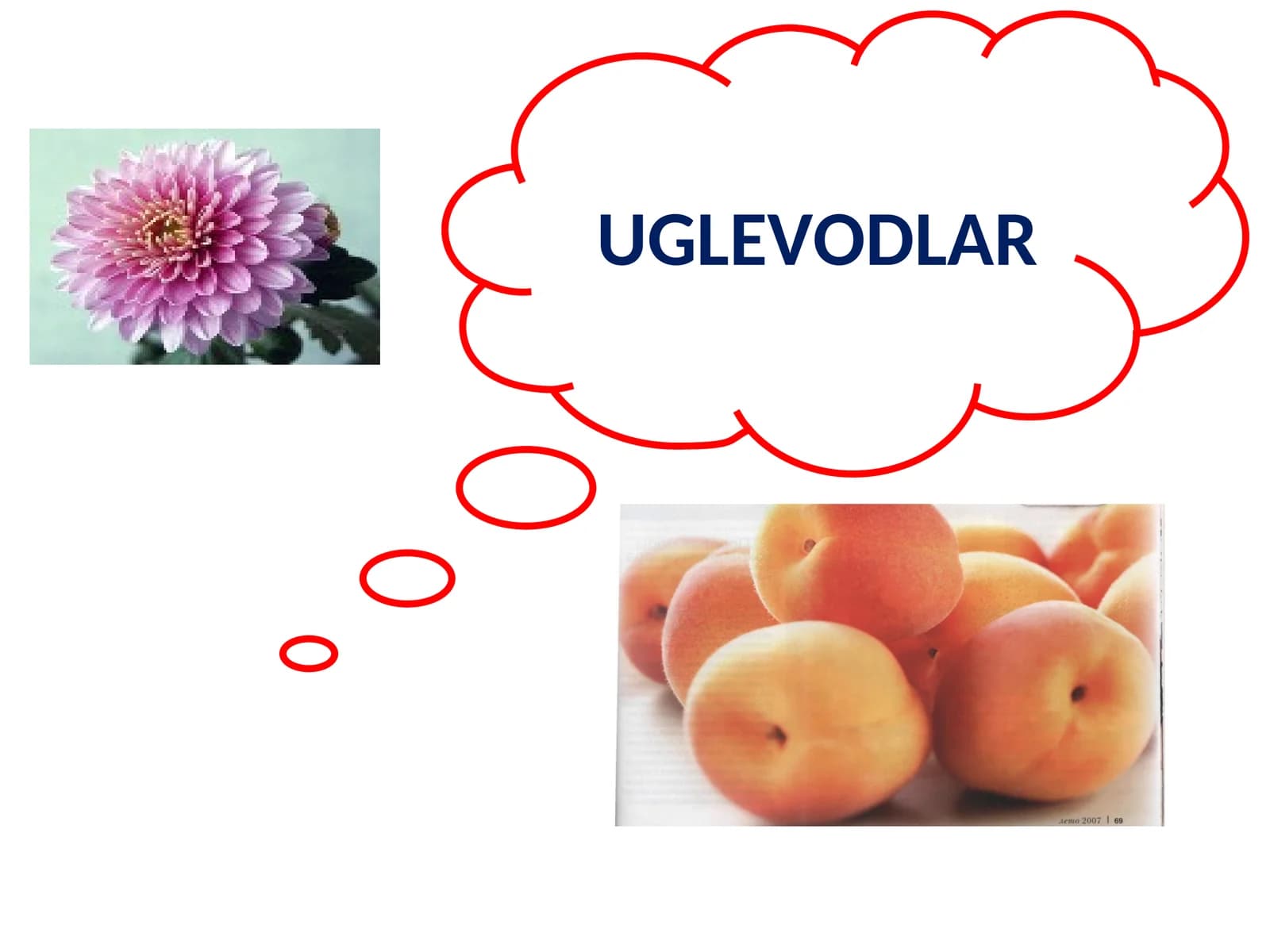 Uglevodlar