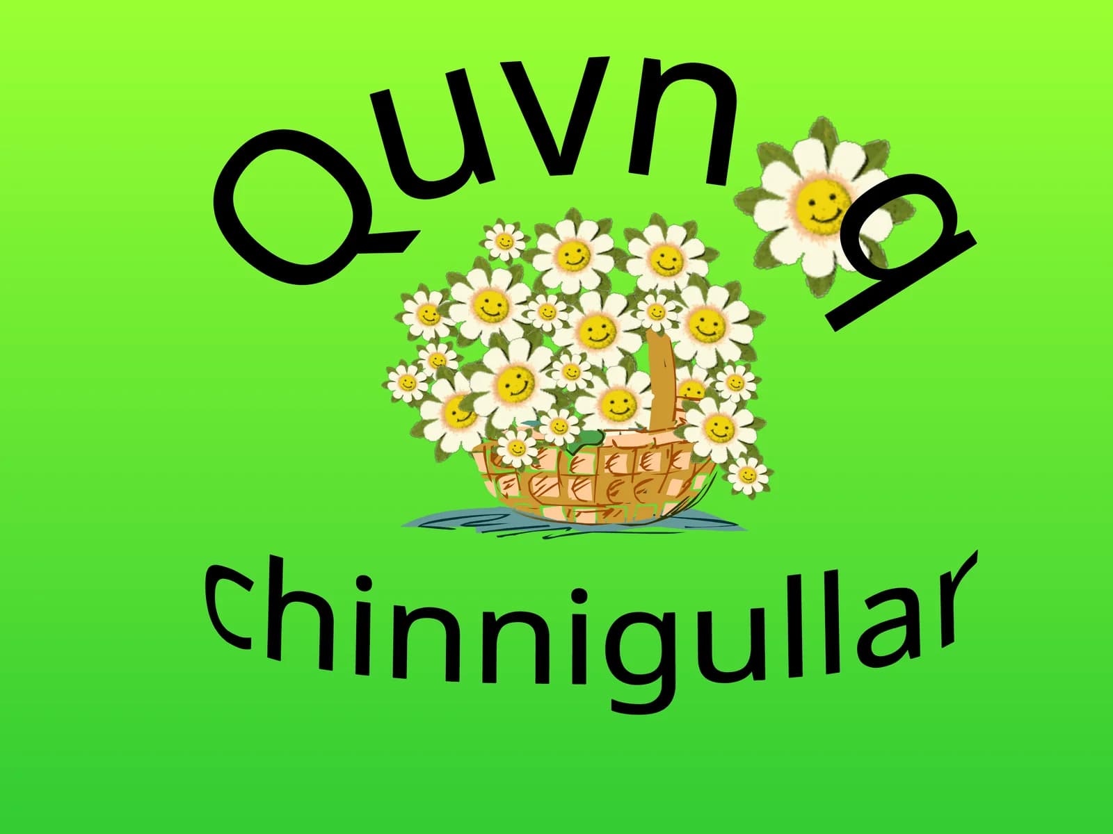Quvnoq  chinnigullar