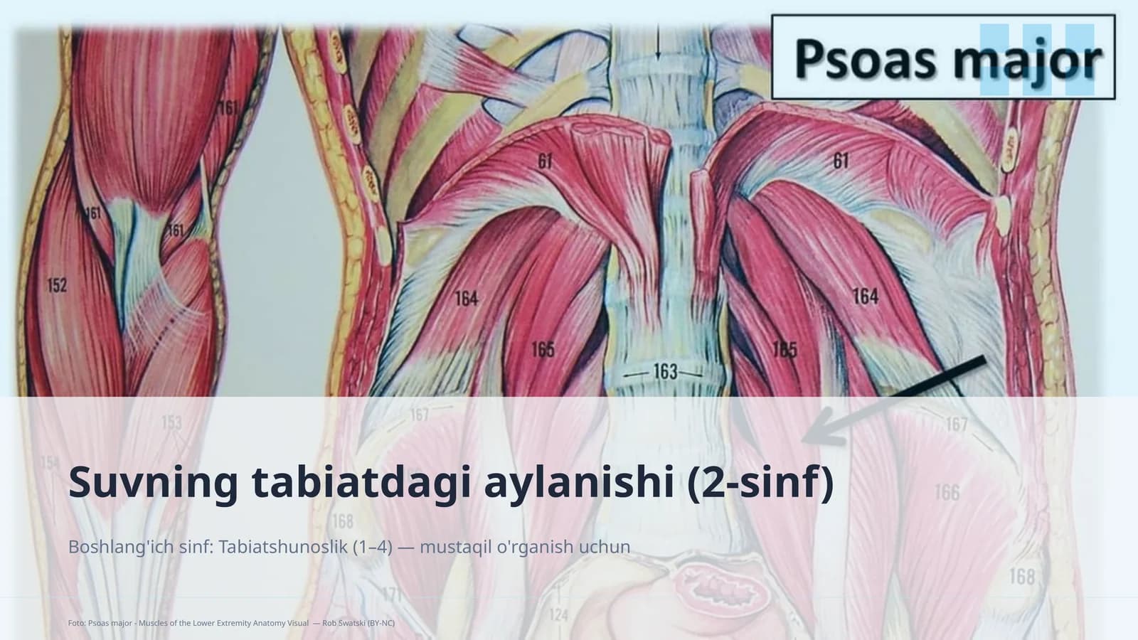 Suvning tabiatdagi aylanishi (2-sinf)