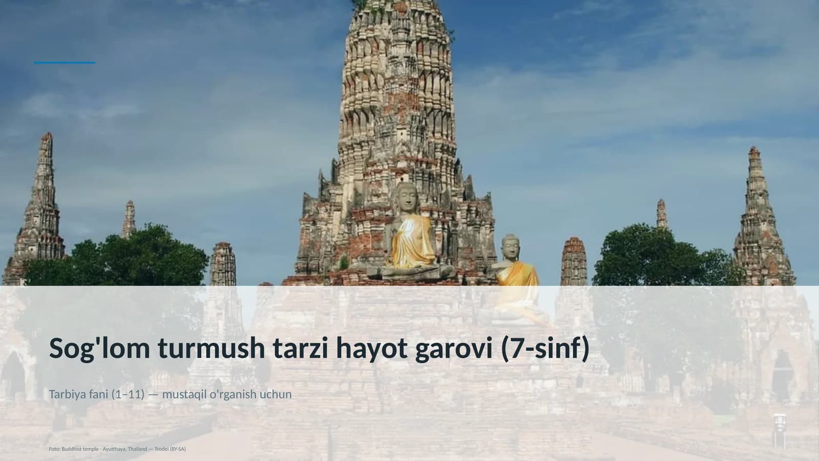 Sog'lom turmush tarzi hayot garovi (7-sinf)