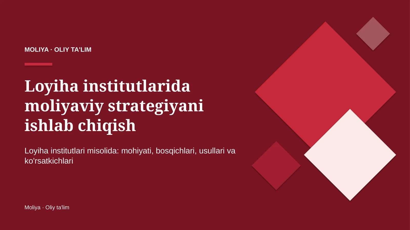 Loyiha institutlarida moliyaviy strategiyani ishlab chiqish