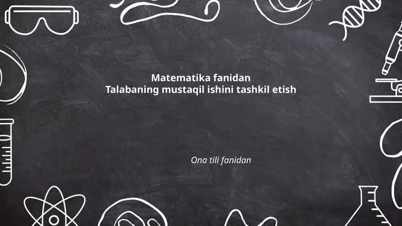 Mustaqil ishlar tashkili