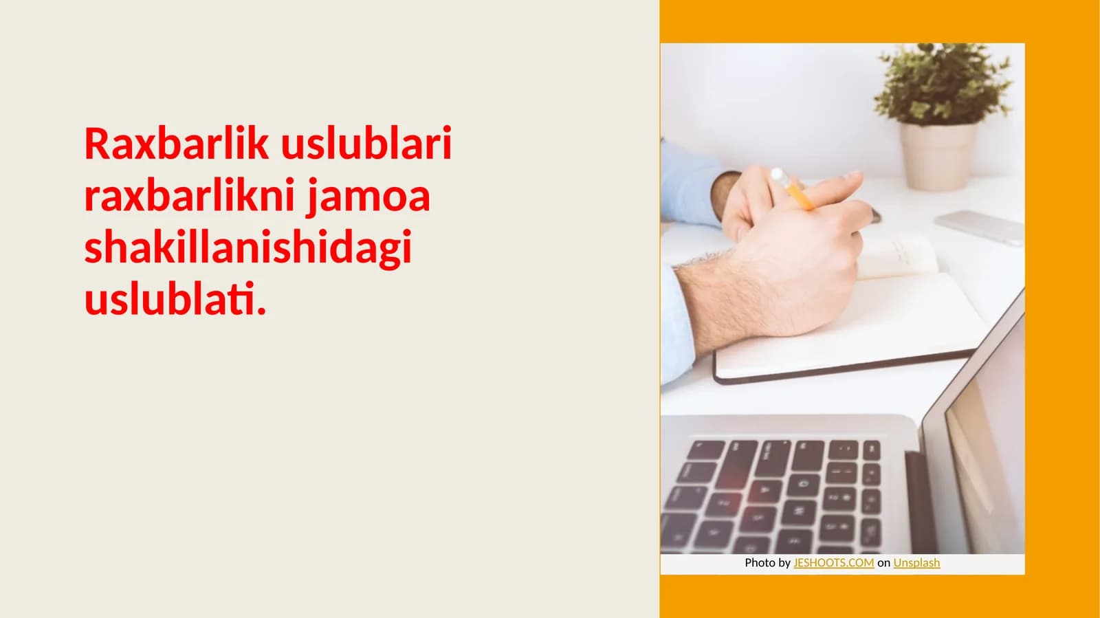 Raxbarlik Uslublari