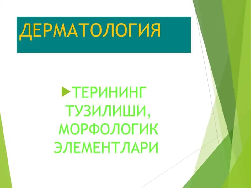 ДЕРМАТОЛОГИЯ Терининг тузилиши тери тузилиши