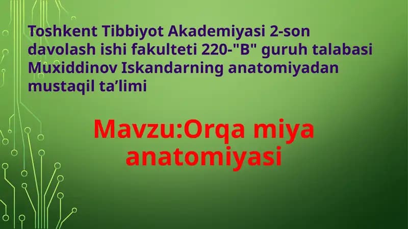 Orqamiyaanatomiyasi