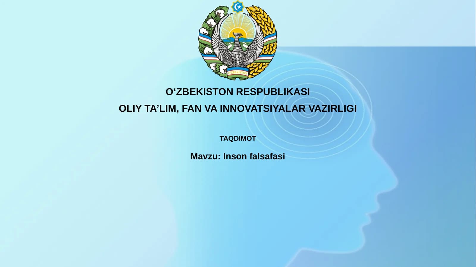 Insonfalsafasi