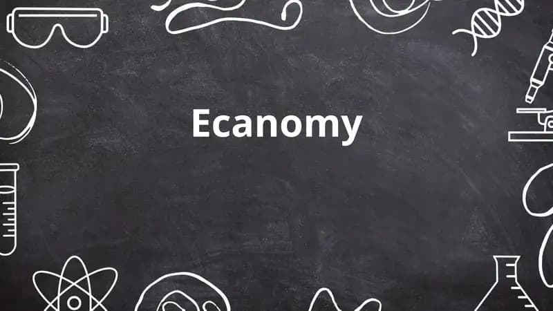 Ecanomy