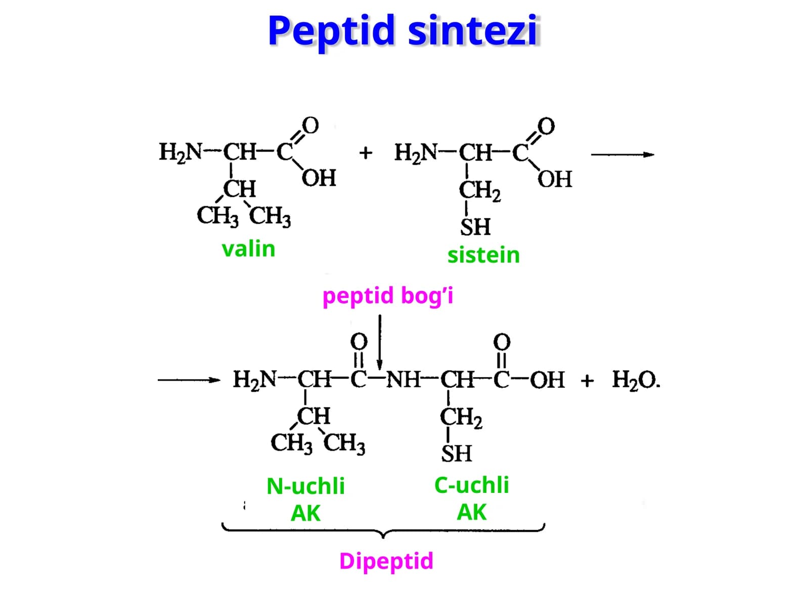 Peptid  sintezi