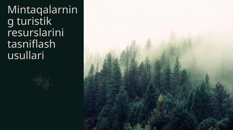 Mintaqalarning turistik resurslarini tasniflash usullari