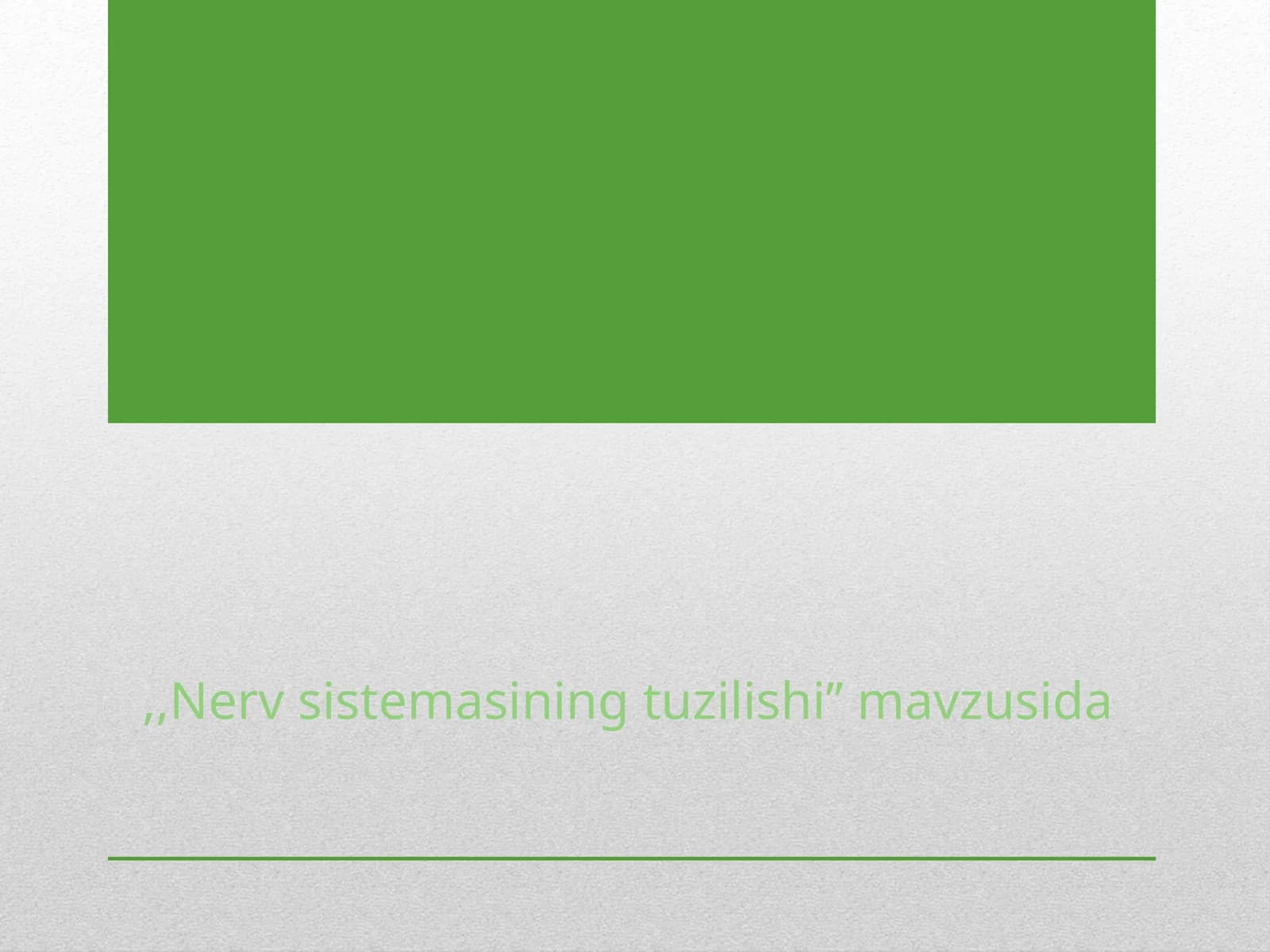 Nerv sistemasi