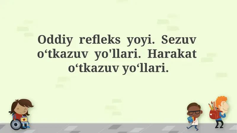 Oddiy refleks yoyi