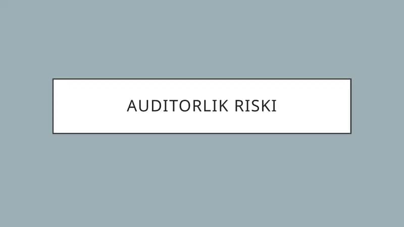 Auditorlik riski