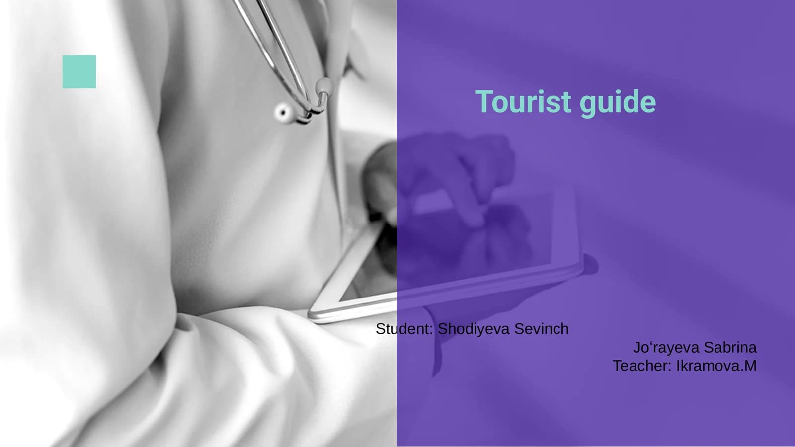 Turist rehberi