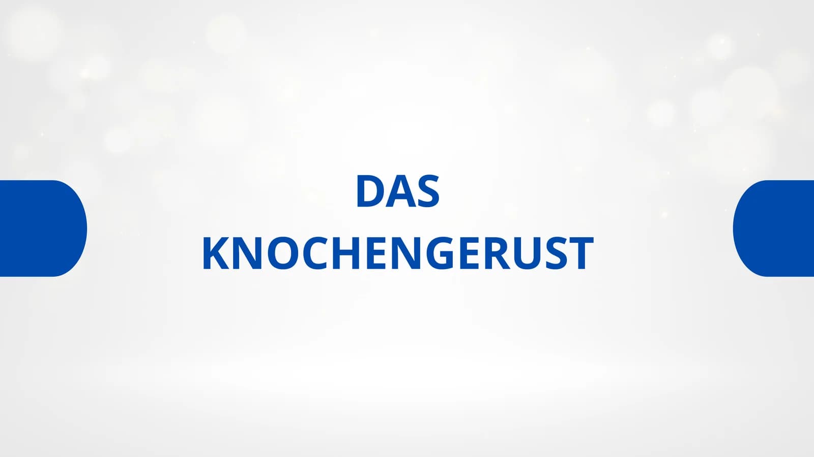 DAS KNOCHENGERUST