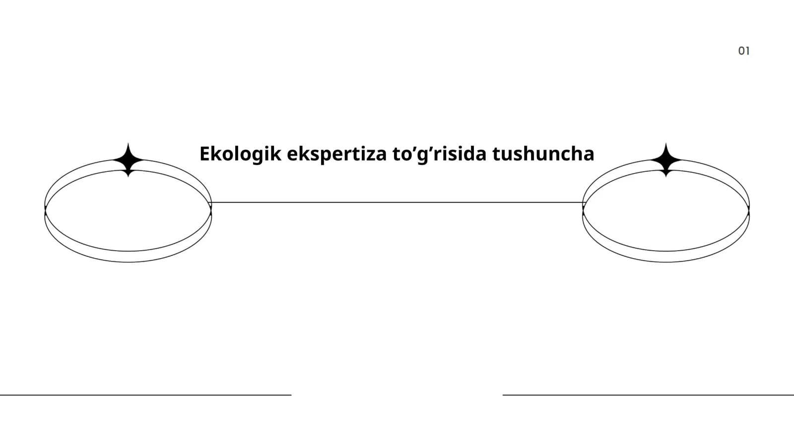 Ekologik ekspertiza
