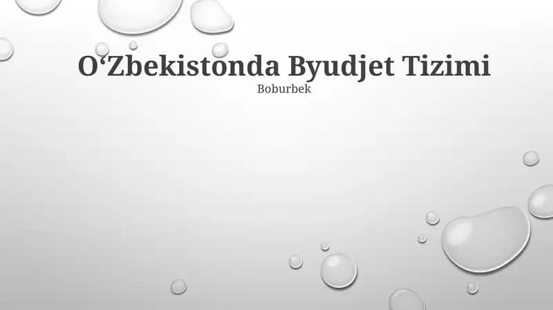 Byudjet Tizimi
