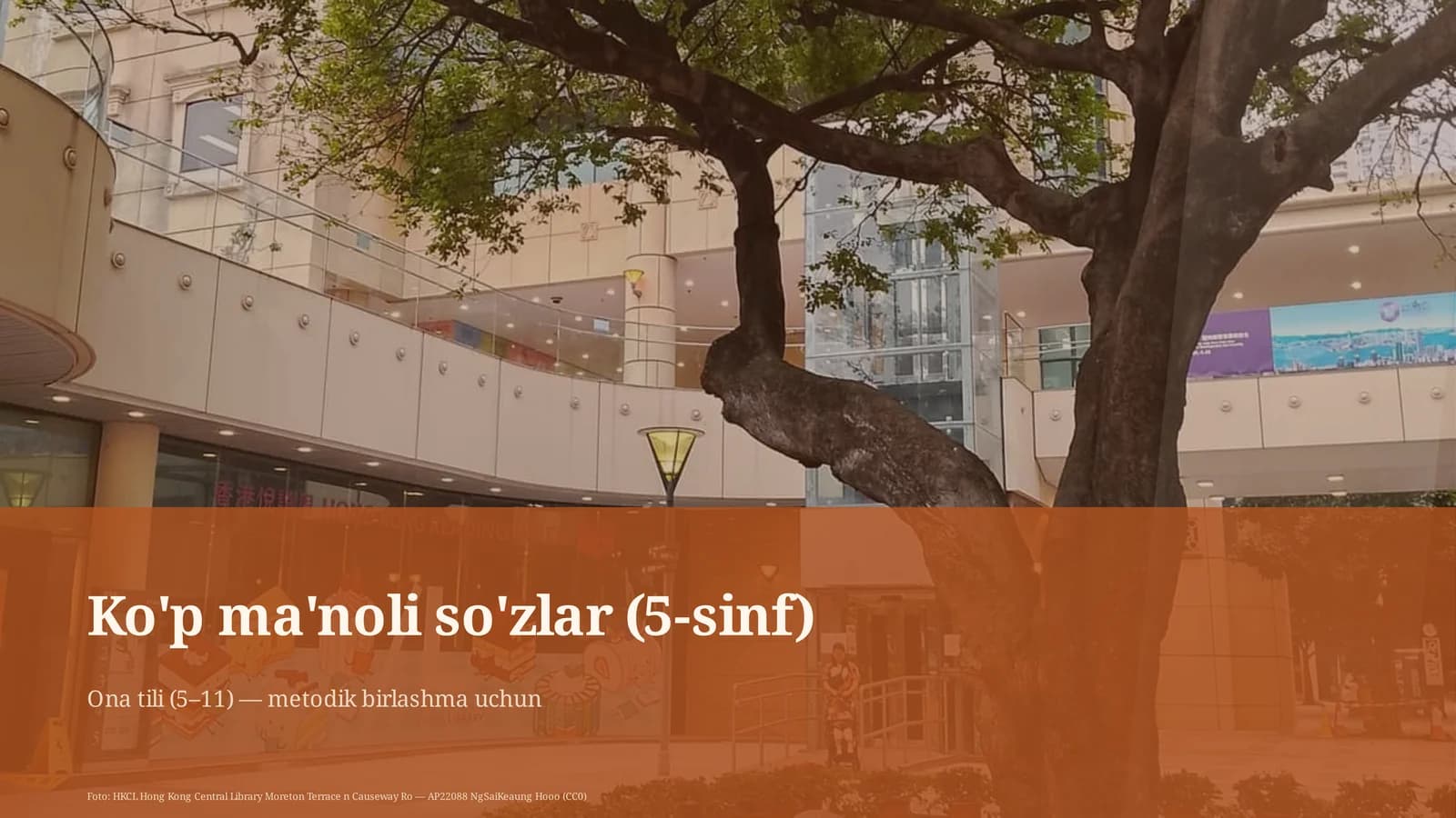 Ko'p ma'noli so'zlar (5-sinf)
