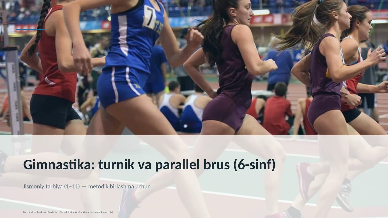 Gimnastika: turnik va parallel brus (6-sinf)