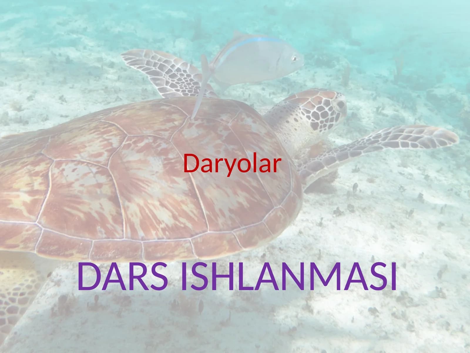 Dars Ishlanmasi - Geografiya Fanidan