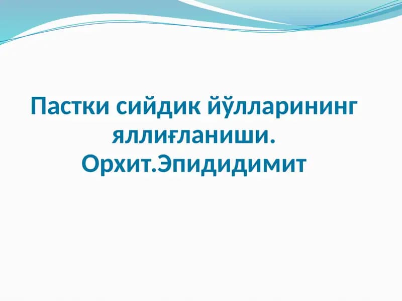 Орхит