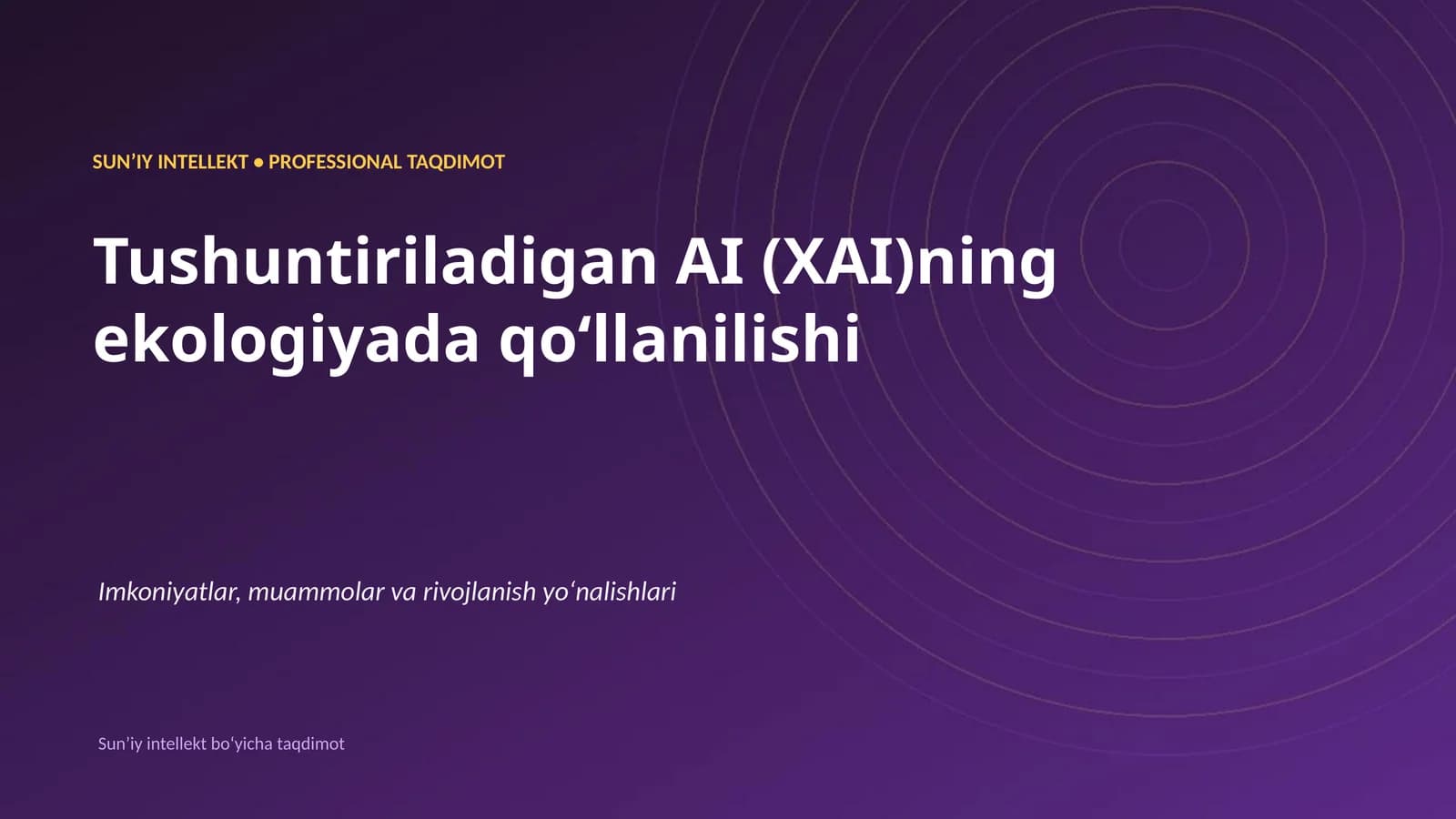 Sun'i y intellekt • Professional taqdimot