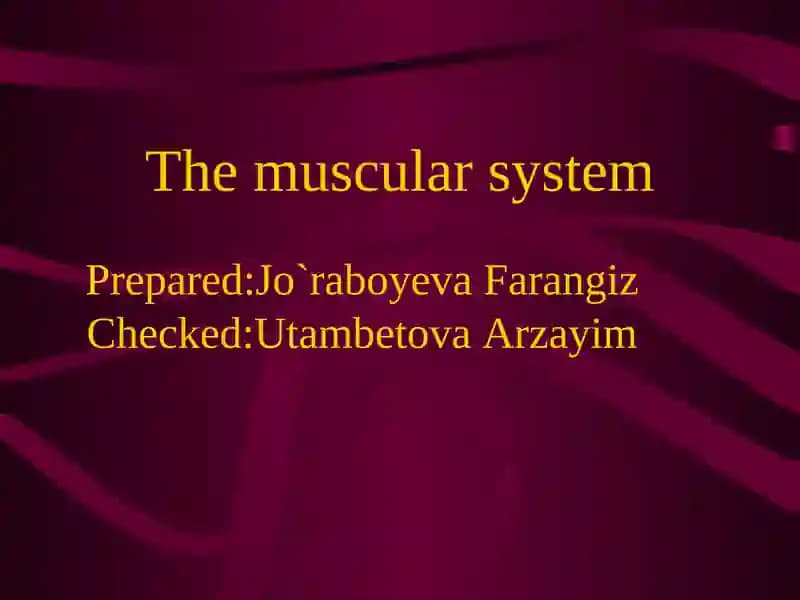 The muscular system