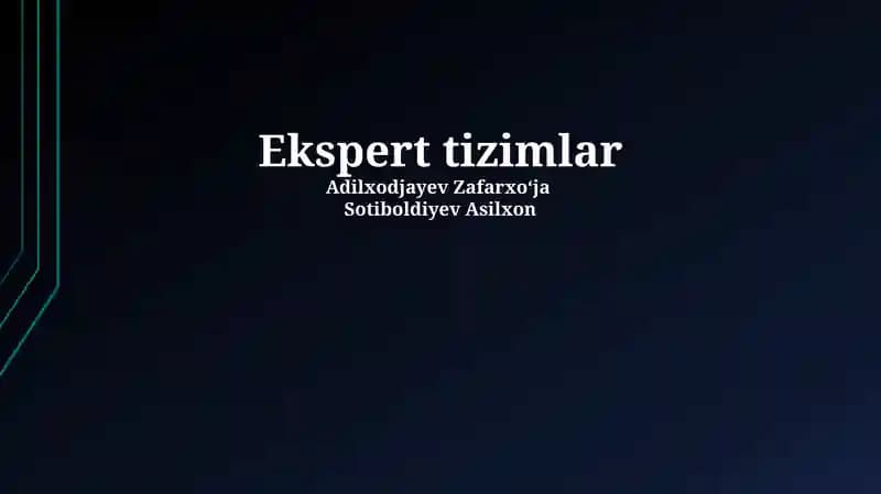 Ekspert tizimlar