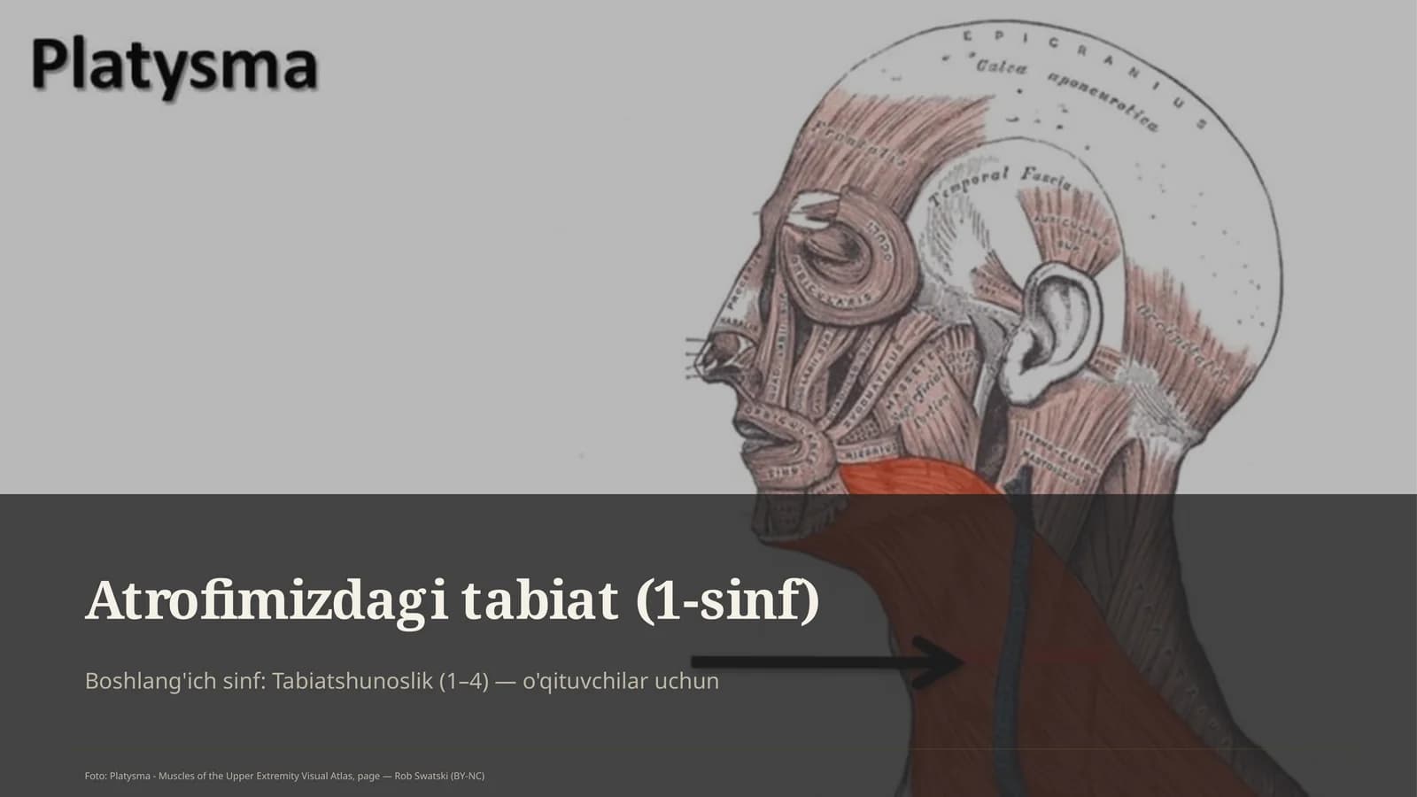 Atrofimizdagi tabiat (1-sinf)