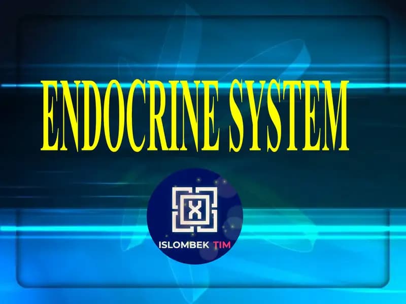 ENDOCRINE SYSTEM