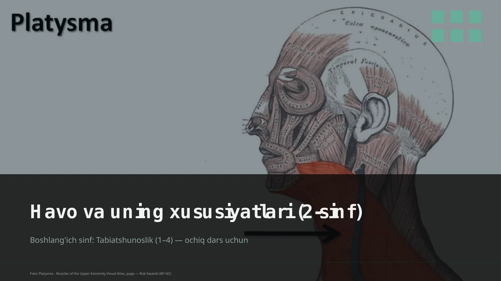 Havo va uning xususiyatlari (2-sinf)