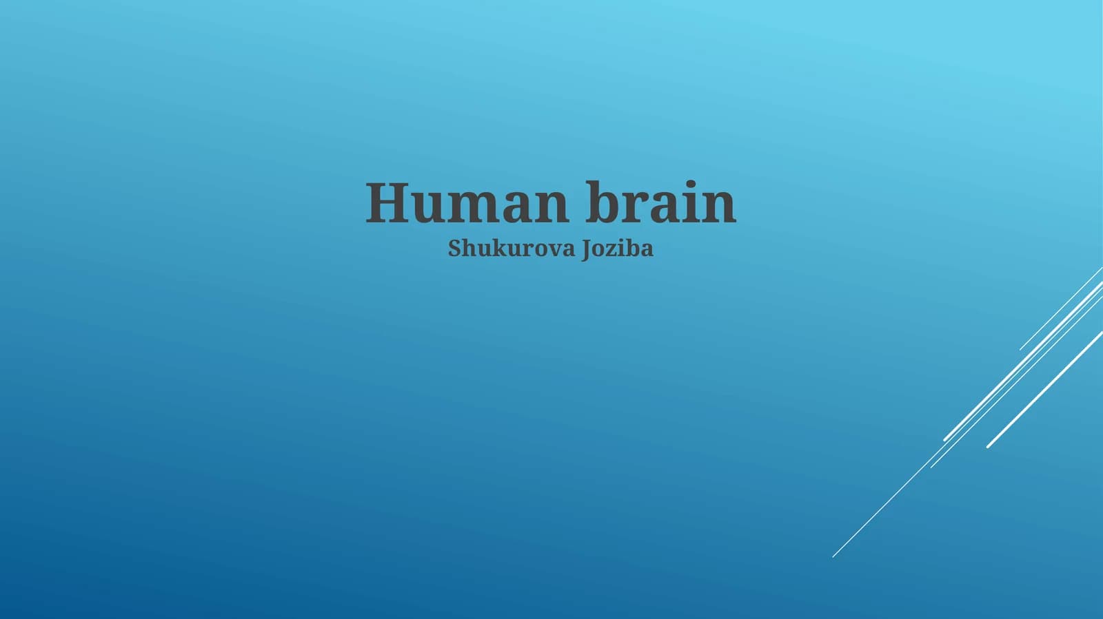 Human brain