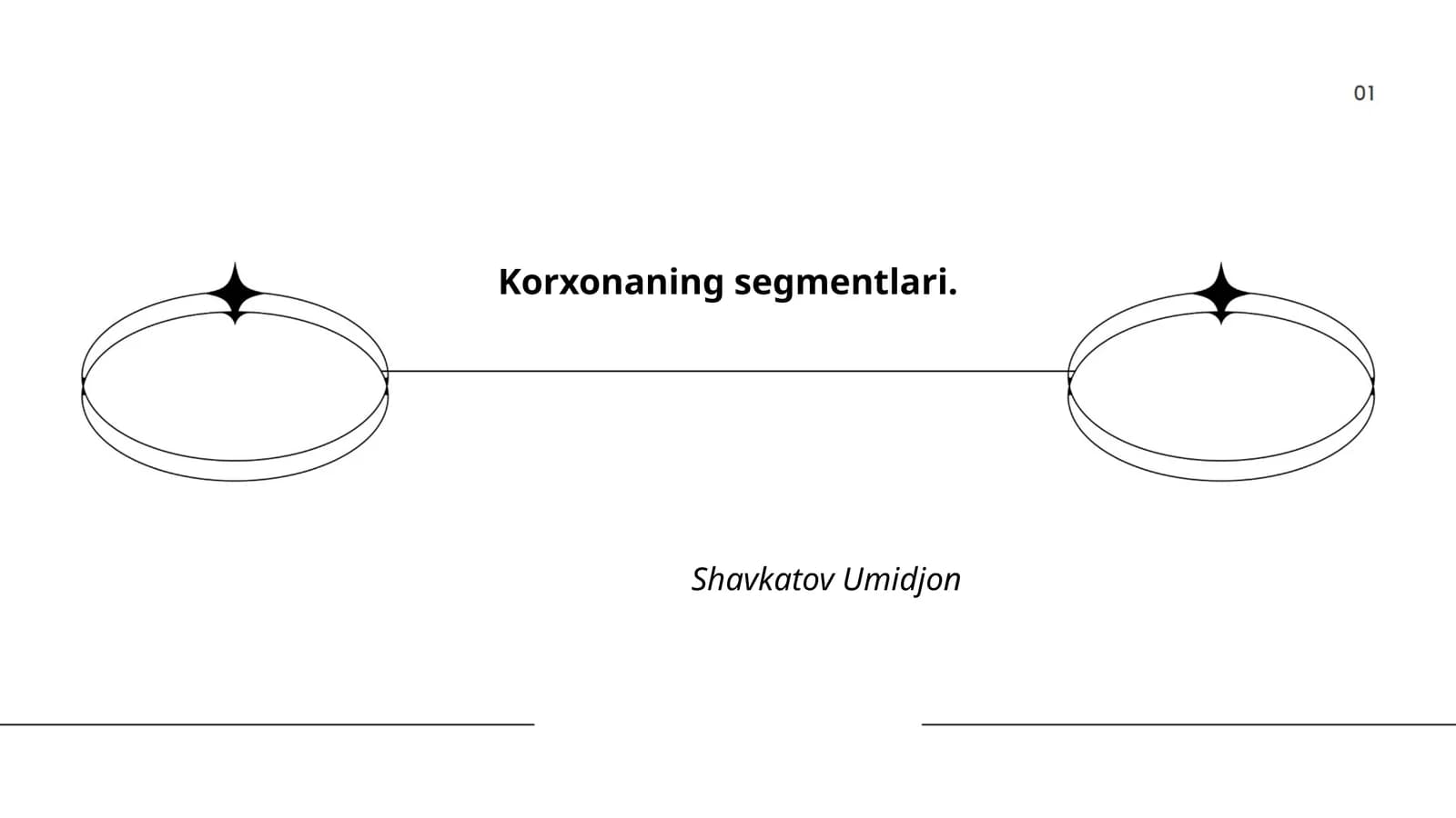 Korxonaning segmentlari