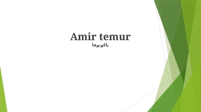 Amir Temur