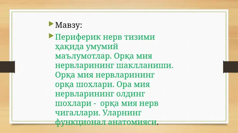 Периферик нерв тизими