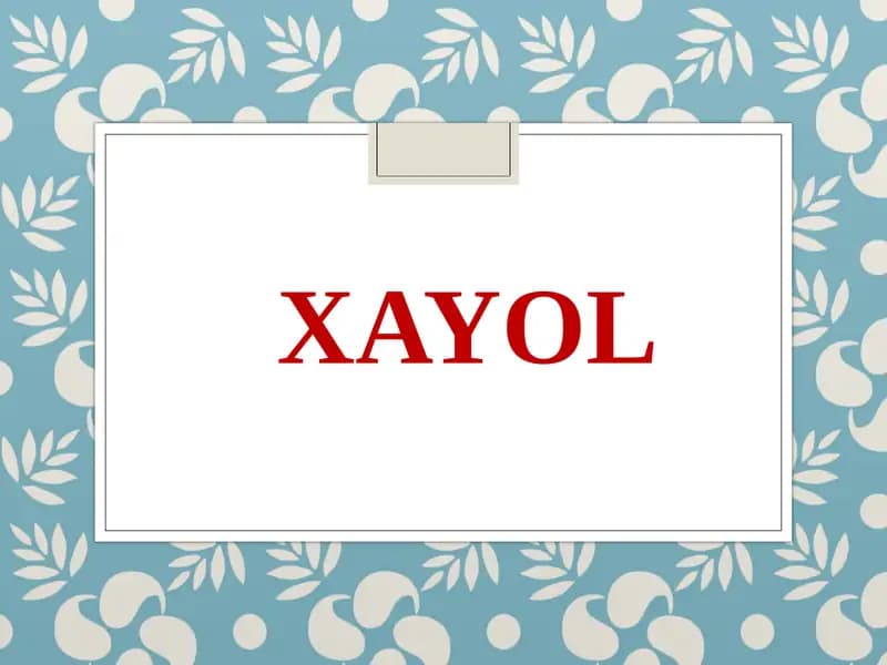 Xayol