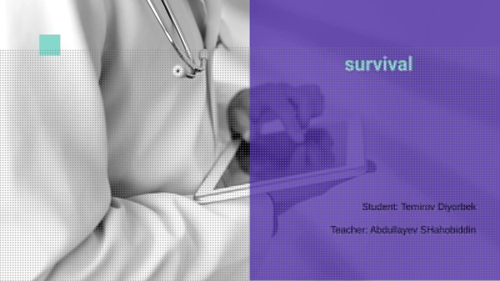 Survival Skills Training