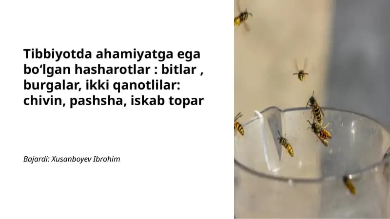 Bitlar va ularning oʻzaro aloqalari