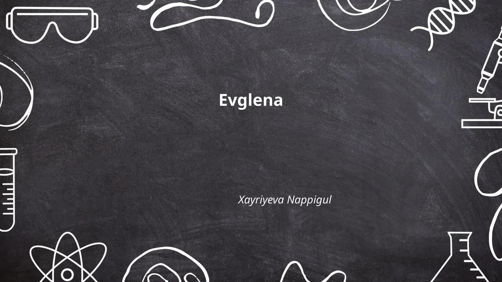 Euglena